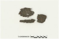 藏品(大瓣扁萼蘚)的圖片